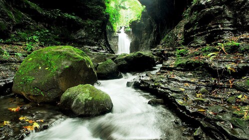 隱谷溫泉遊覽（含午餐）