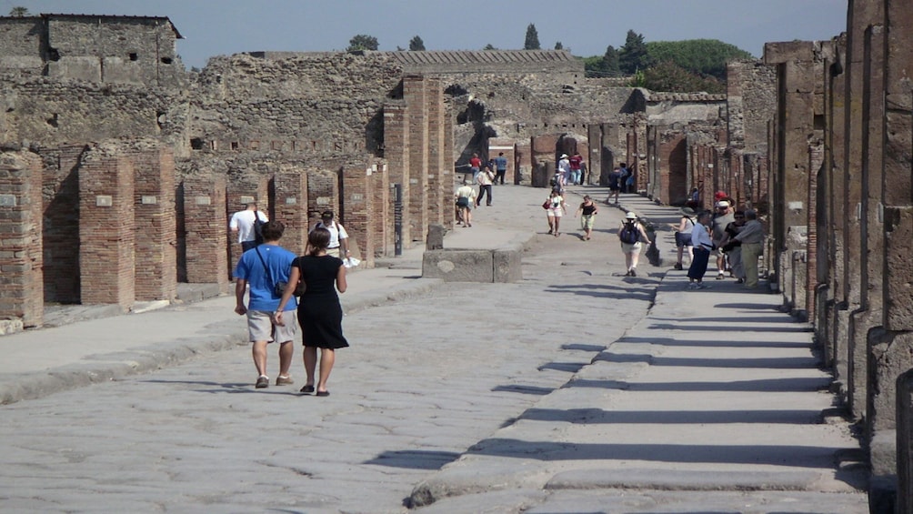 Pompeii & Mount Vesuvius Tour from Sorrento