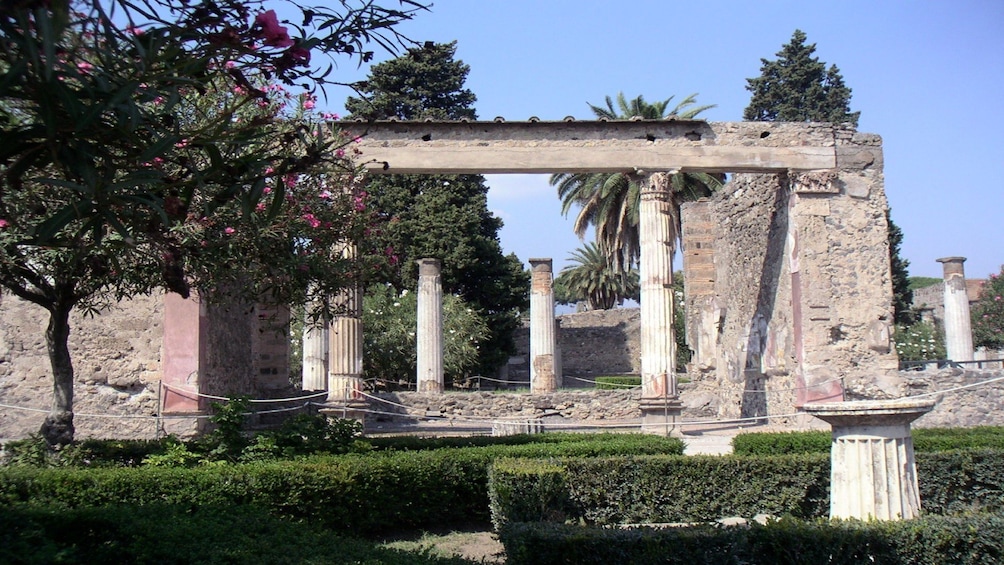 Pompeii & Mount Vesuvius Tour from Sorrento