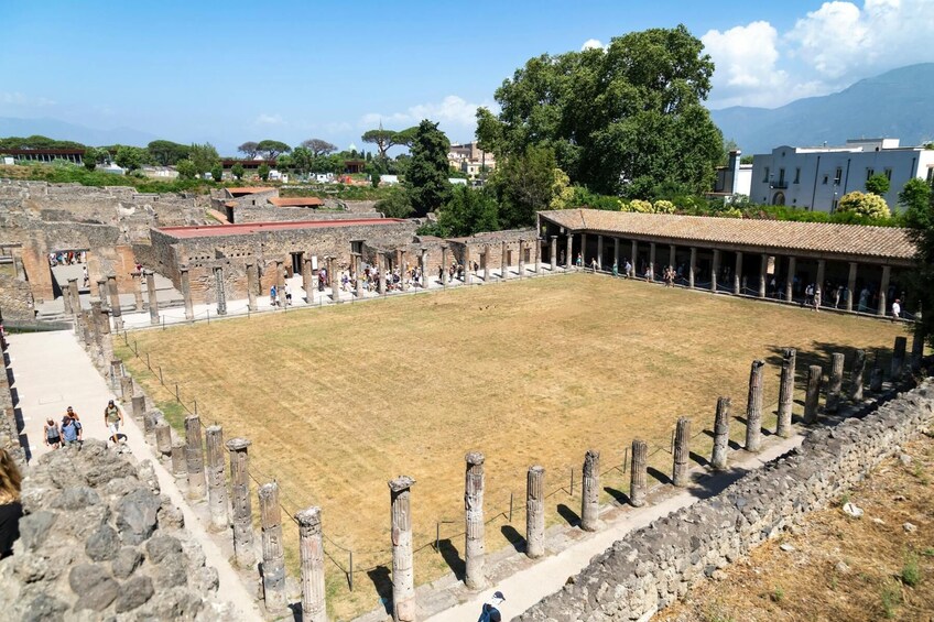 Pompeii Half-Day Tour from Sorrento