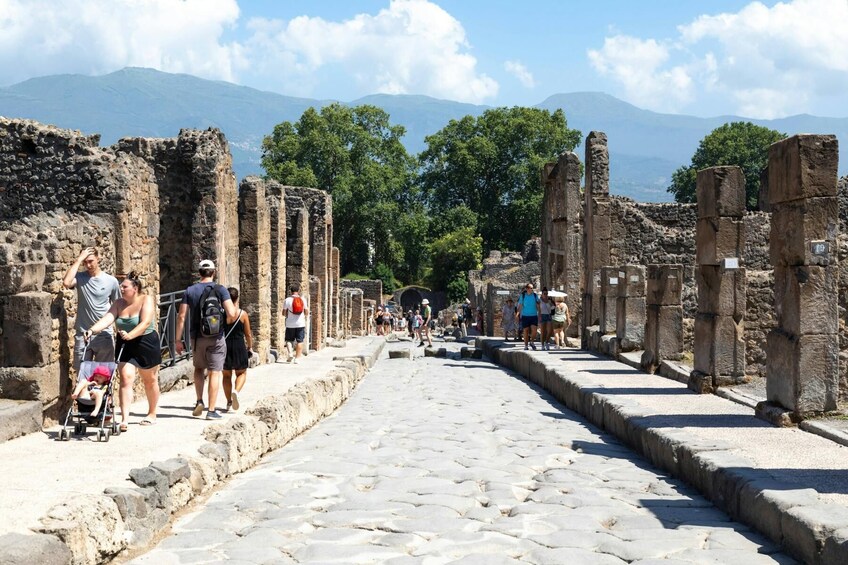 Pompeii Half-Day Tour from Sorrento