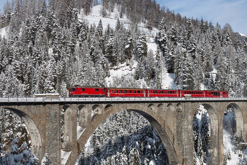 Bernina Express Rail Tour to St. Moritz