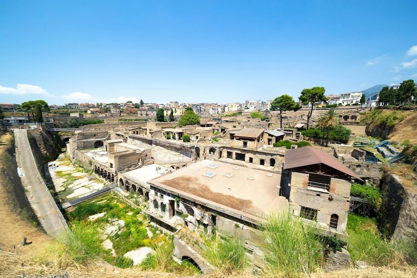 Herculaneum Half-Day Tour from Sorrento
