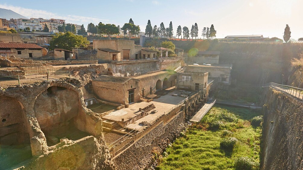 Herculaneum Half-Day Tour from Sorrento