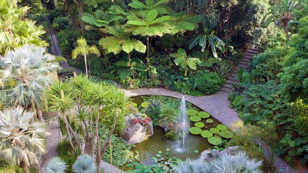 Mortella Gardens pond and fountain on Ischia