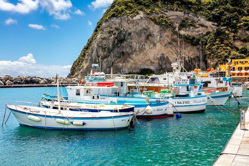 Ischia Island & Mortella Gardens Tour from Sorrento