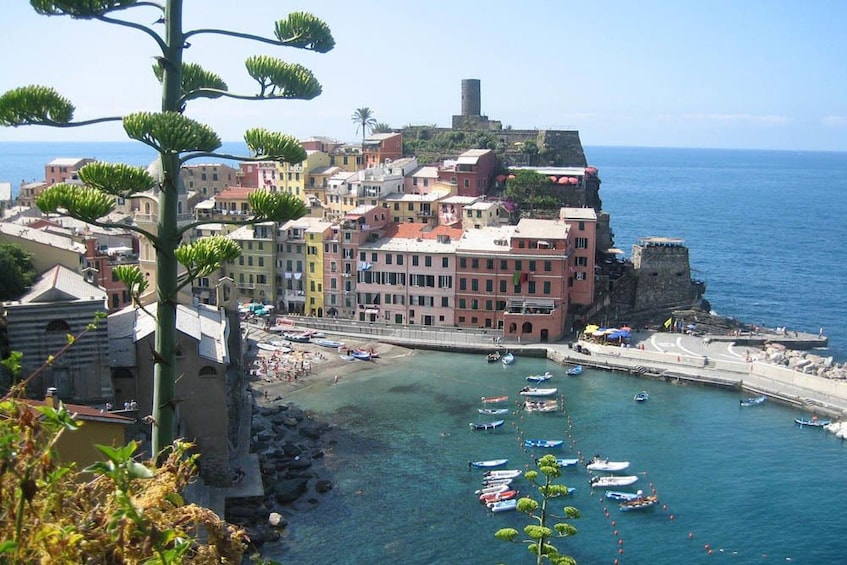 Cinque Terre Day Trip