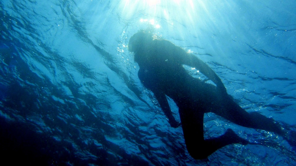 Underwater silhouette of a snorkeling woman on the surface of the water in Gaiola