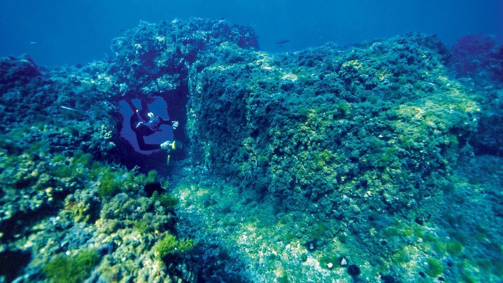 Snorkeler wimming through a small tunnel in the coral reef off the coast of Gaiola