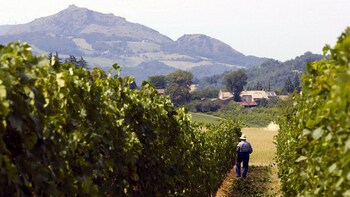Private Full-Day Gourmet Food Tour through the Food Valley