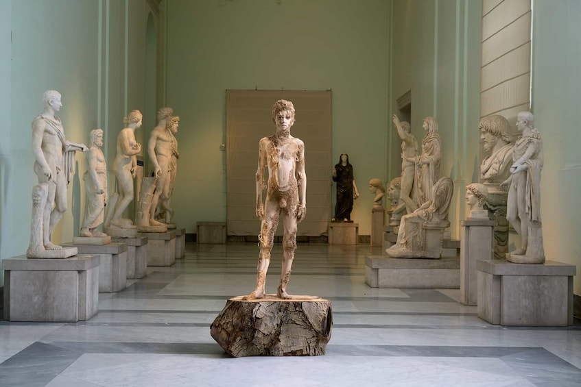 Foto 5 van 10. National Archaeological Museum of Naples Ticket