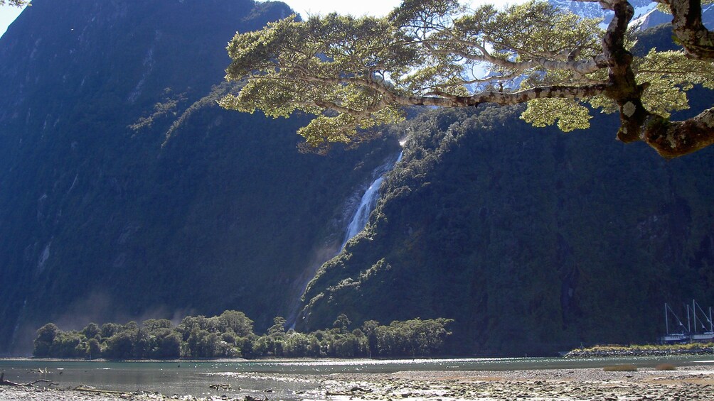 Mountain and tree next to a lake