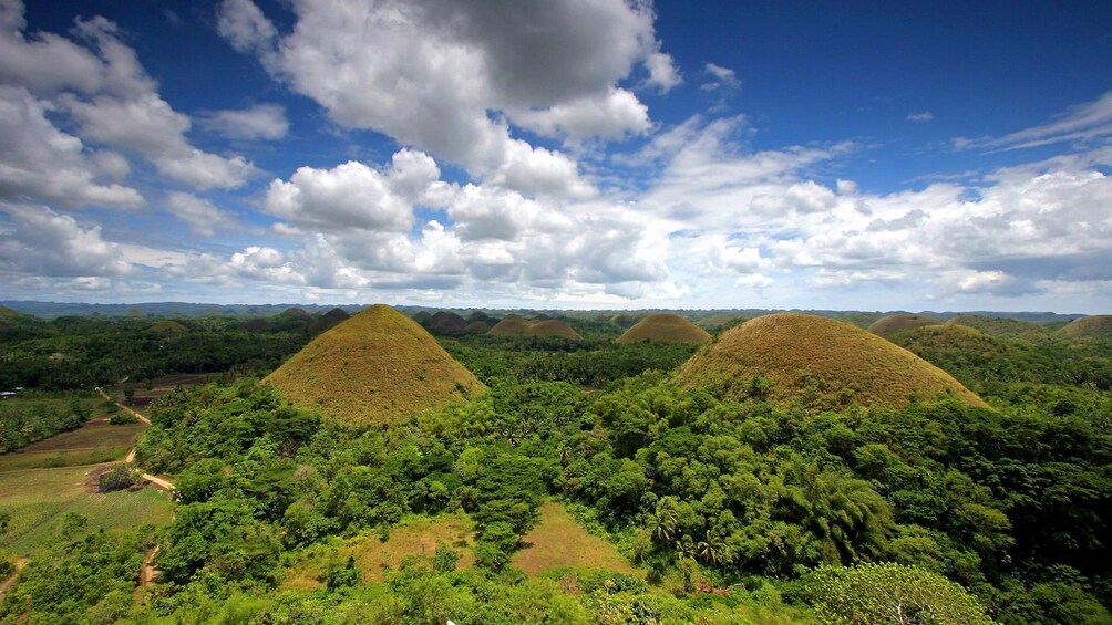 Mounds in the green landscape of Bohol