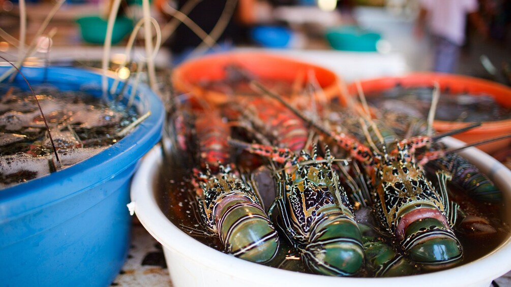 Shrimp on display at the Cebu market tour 