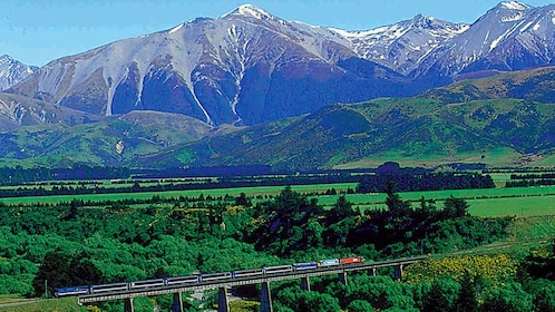 Arthur's Pass heldagstur med TranzAlpine-tåget