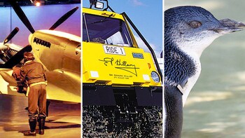 The Best 3 Attractions of Christchurch Tour