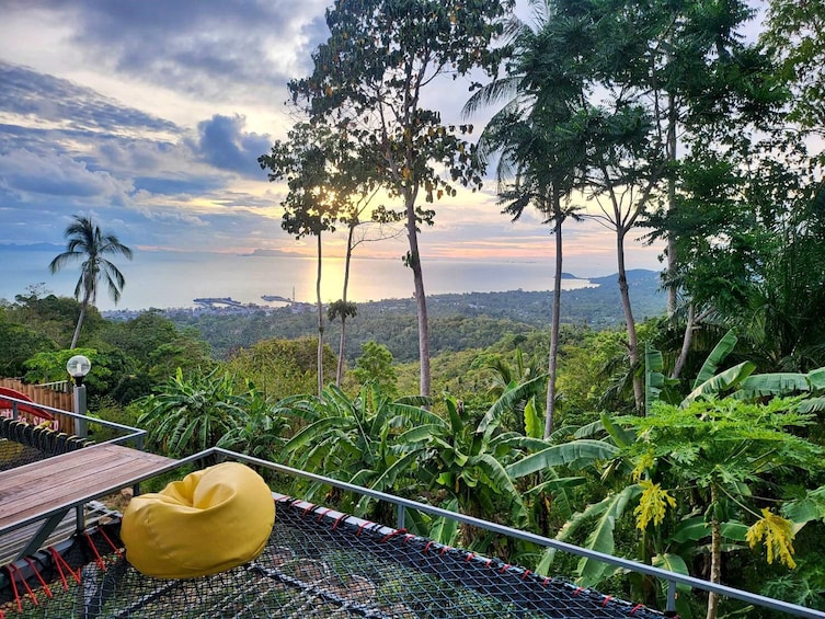 Jungle Tour With 4 Wheel Drive Jeep