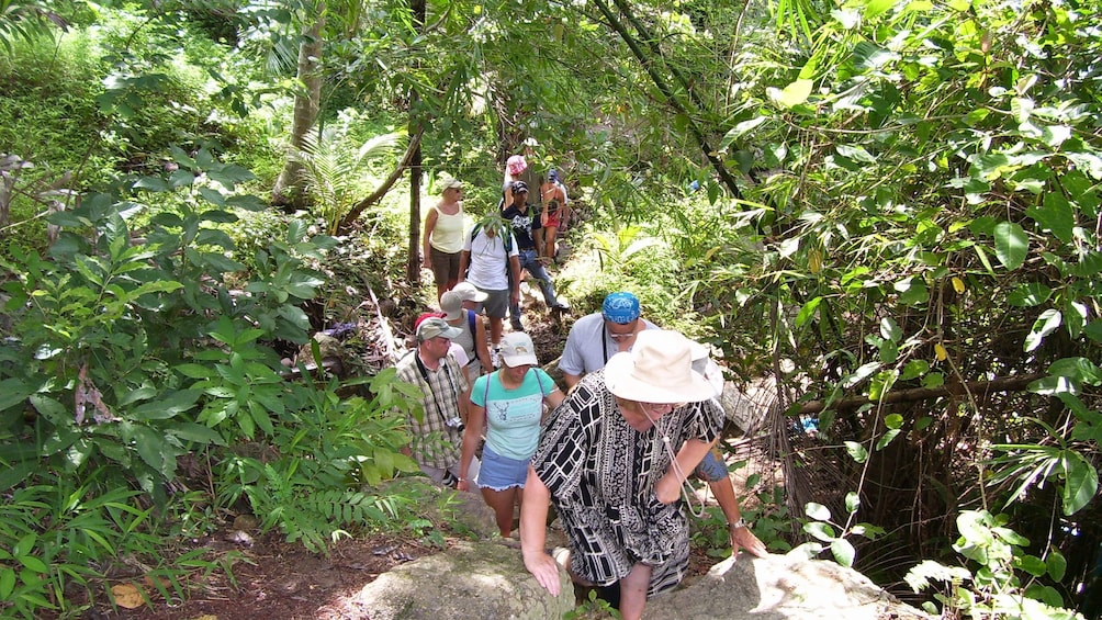 Hiking group in Koh Samui