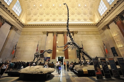 American Museum of Natural History Tickets