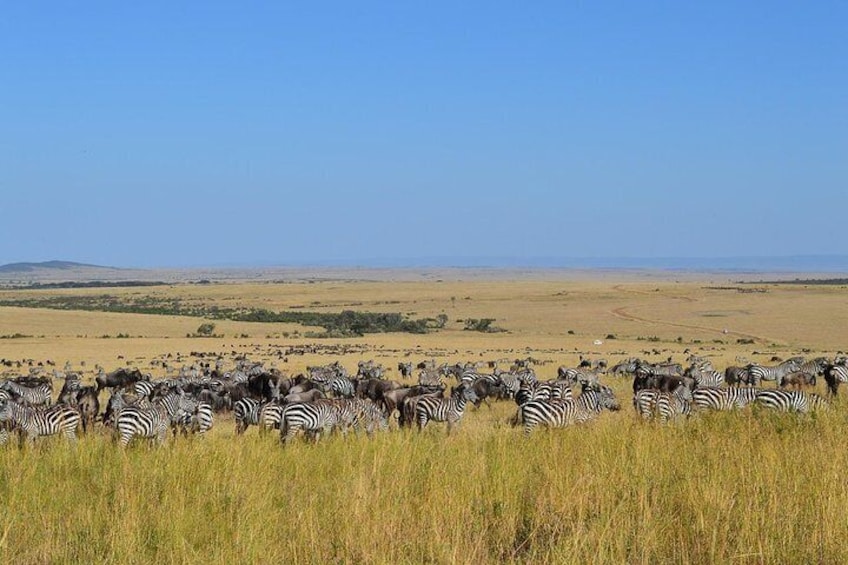 Tsavo east National park 