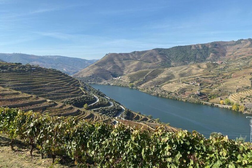 Douro Valley and Porto from Lisbon - Wine and Cheese Tasting