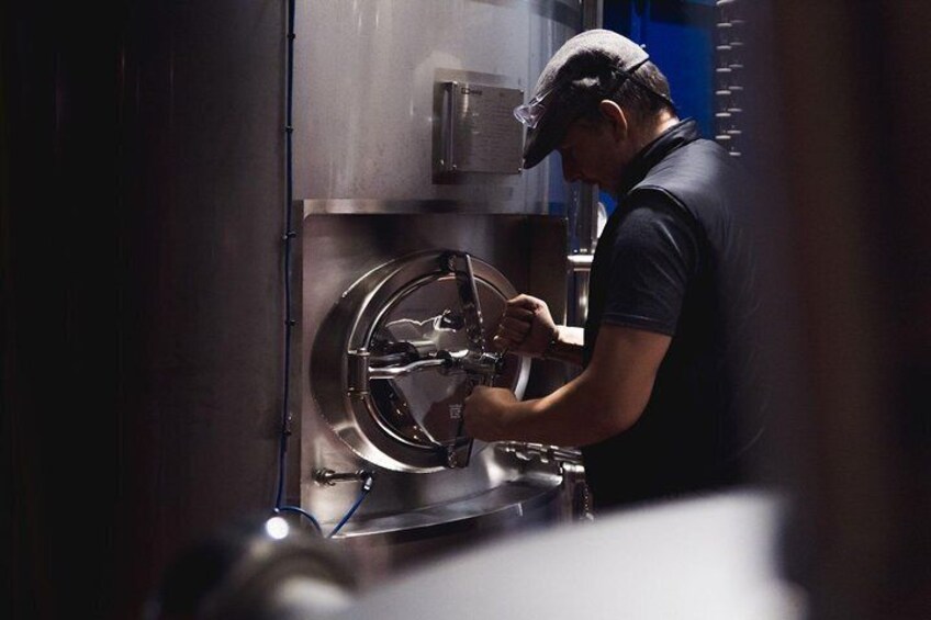 Killarney Jaunting Car Tour with Craft Brewery Beer & Pizza
