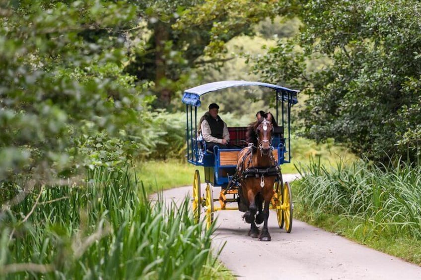 The Best of Killarney Views & Brews