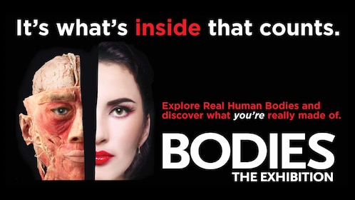 „Bodies: The Exhibition Las Vegas“-Tickets