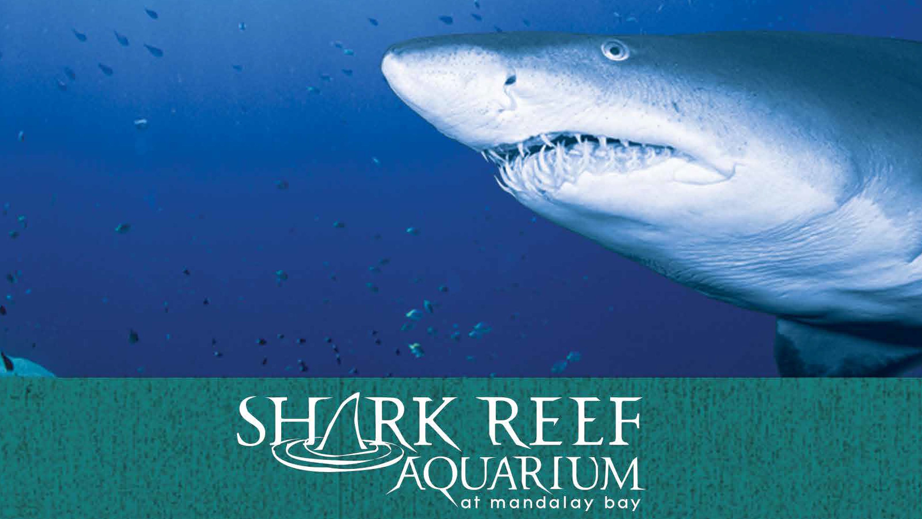 Shark Reef Aquarium at Mandalay Bay of Las Vegas
