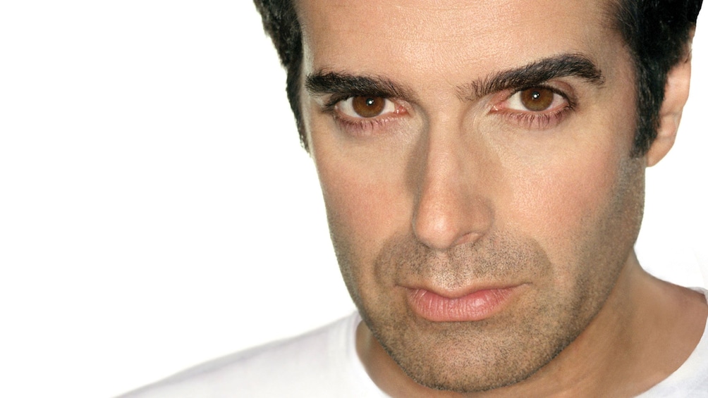 Charger l’élément 4 sur 4. Portrait of David Copperfield