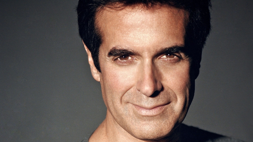 Charger l’élément 2 sur 4. Portrait of David Copperfield