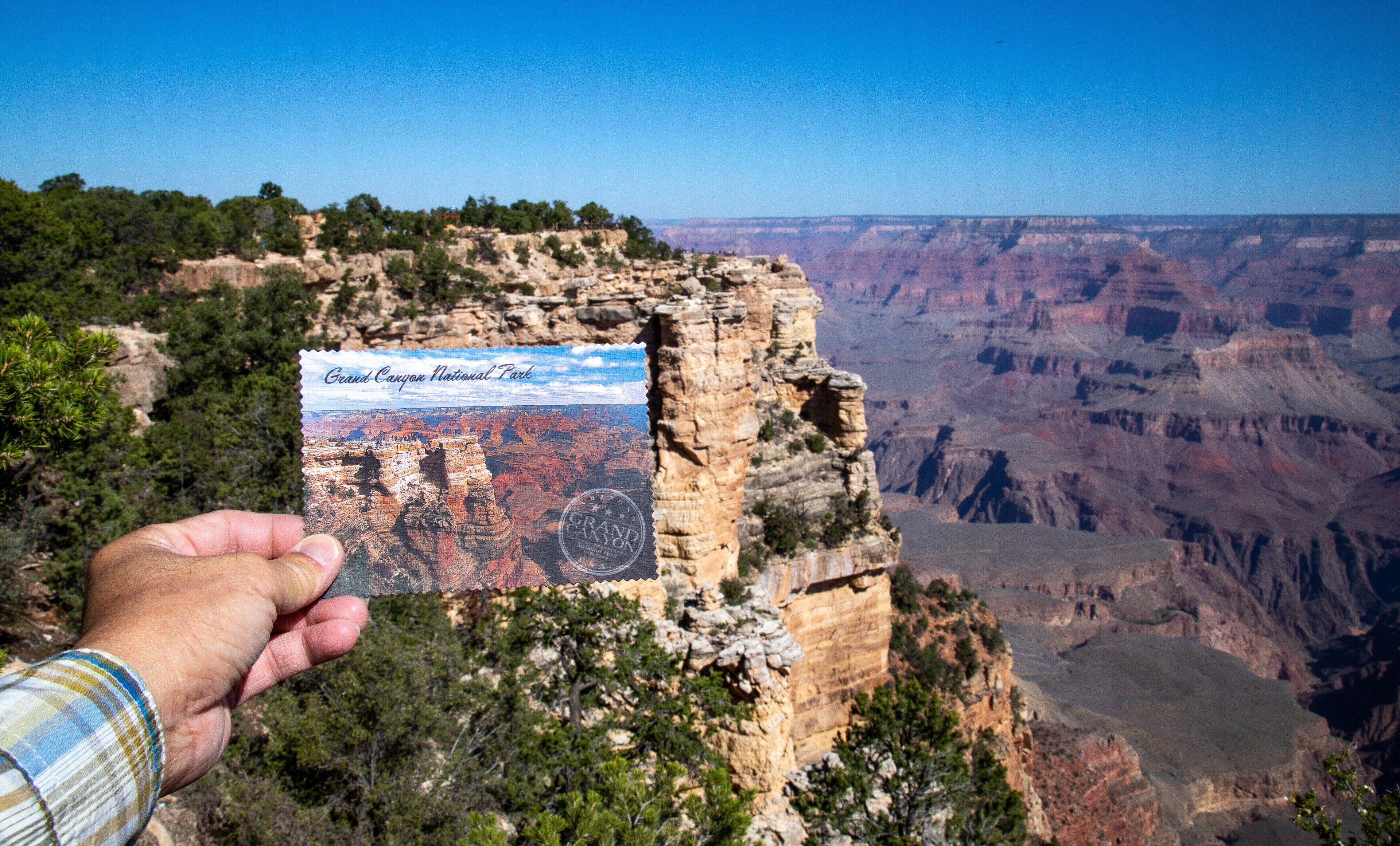 best grand canyon south rim tours