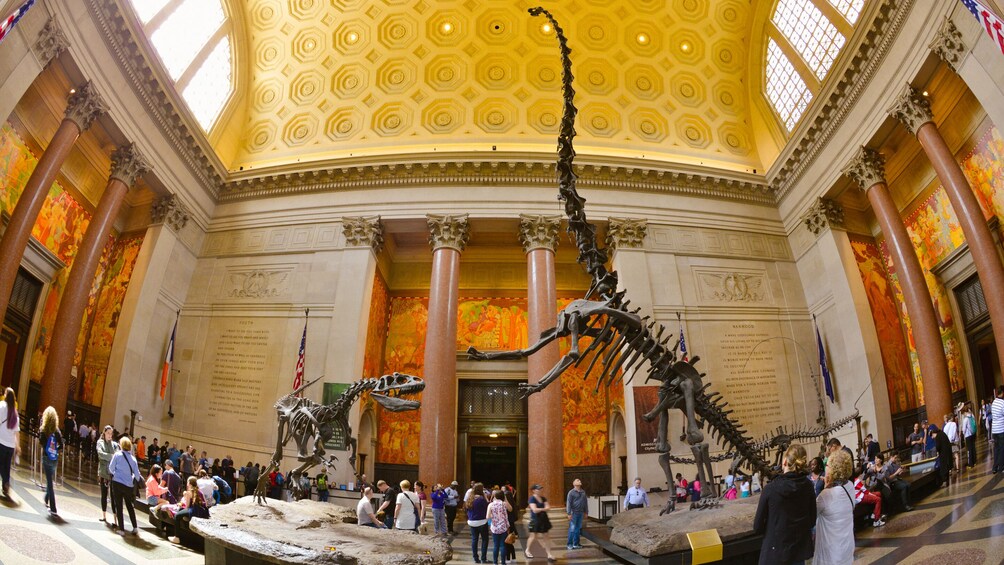 New York CityPASS: Includes Admission to the American Museum of Natural History