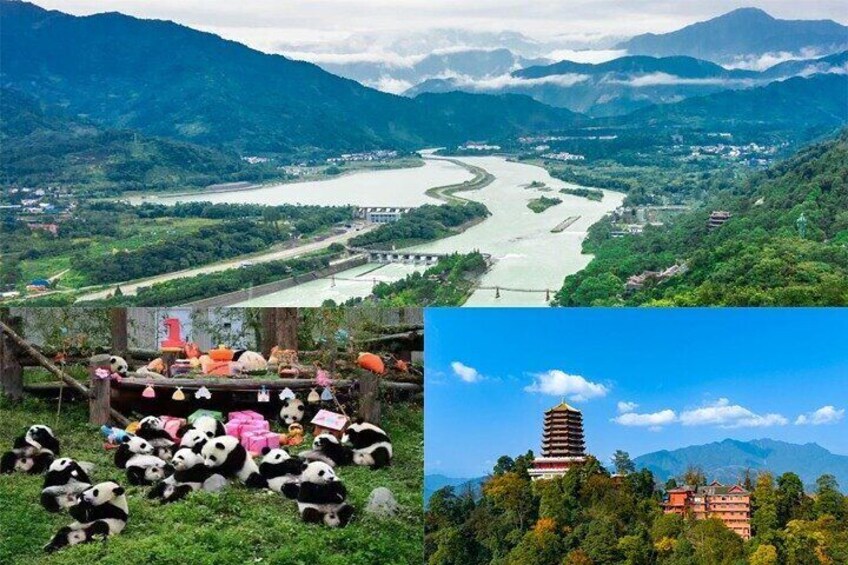 Dujiangyan irrigation+Mt. Qingcheng or Panda Park Day Tour 2023