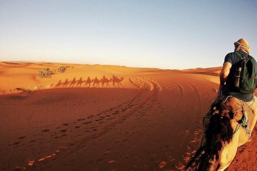 Amazing views while camel trekking