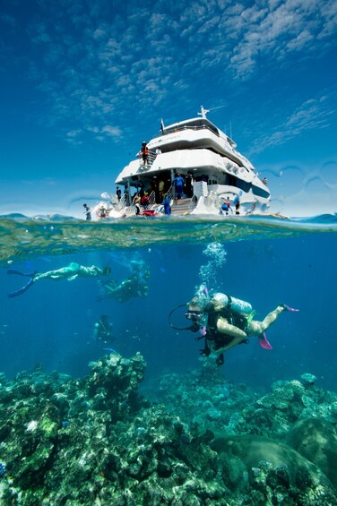 Show item 5 of 7. Cruise & Fly Reef Tour