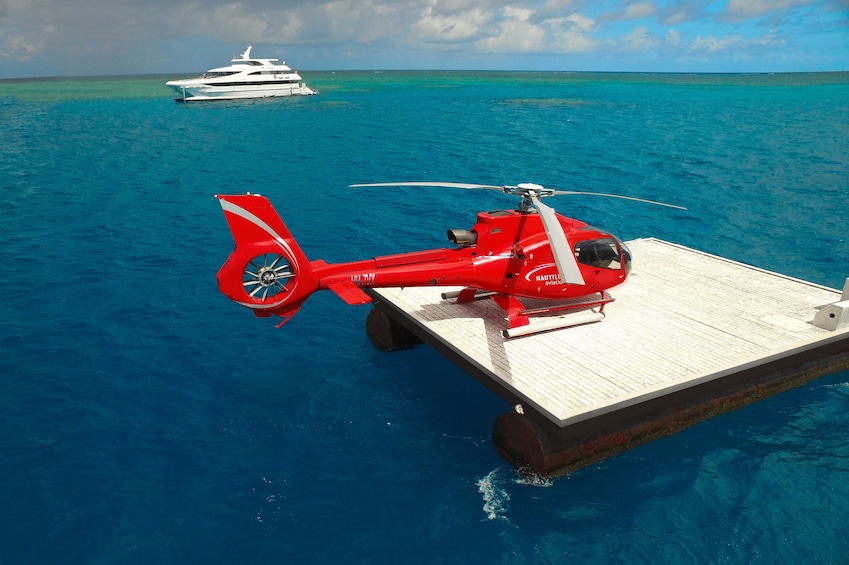 Show item 1 of 5. Half-Day Fly & Cruise Reef Tour