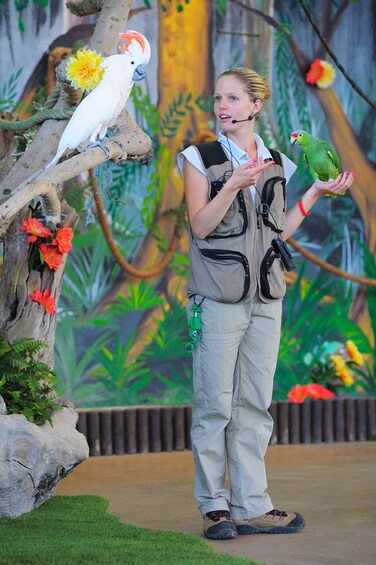 Show item 5 of 9. Zoomarine Park