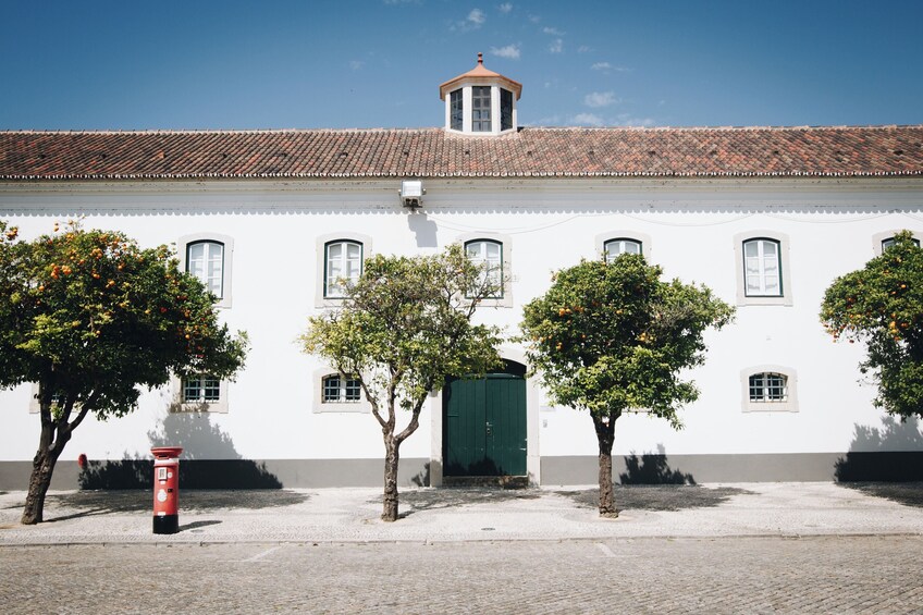 Best of the East: Faro, Olhão, Tavira & Vila Real de Santo António