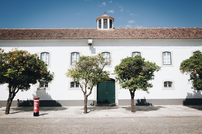 Best of the East: Faro, Olhão, Tavira & Vila Real de Santo António