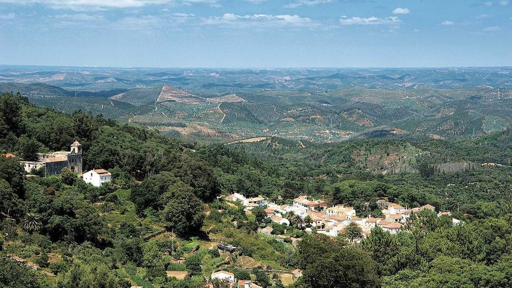 Silves and Monchique Mountain Half-Day Tour