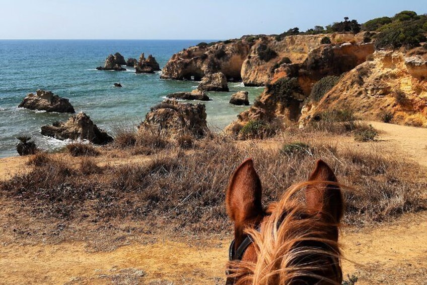 Algarve - Exclusive horseriding in Portimao (no experience required)