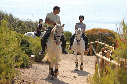 Algarve - Équitation exclusive à Portimao (aucune expérience requise)