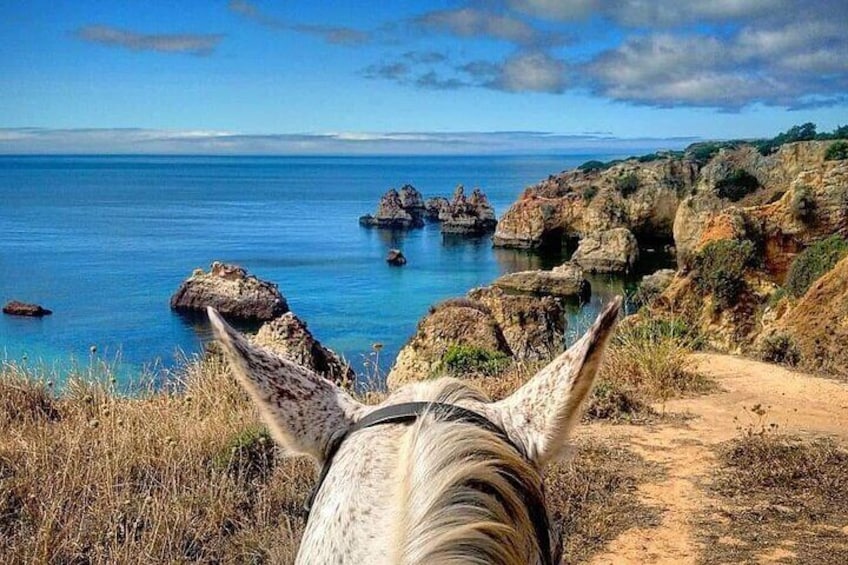 Algarve - Exclusive horseriding in Portimao (no experience required)