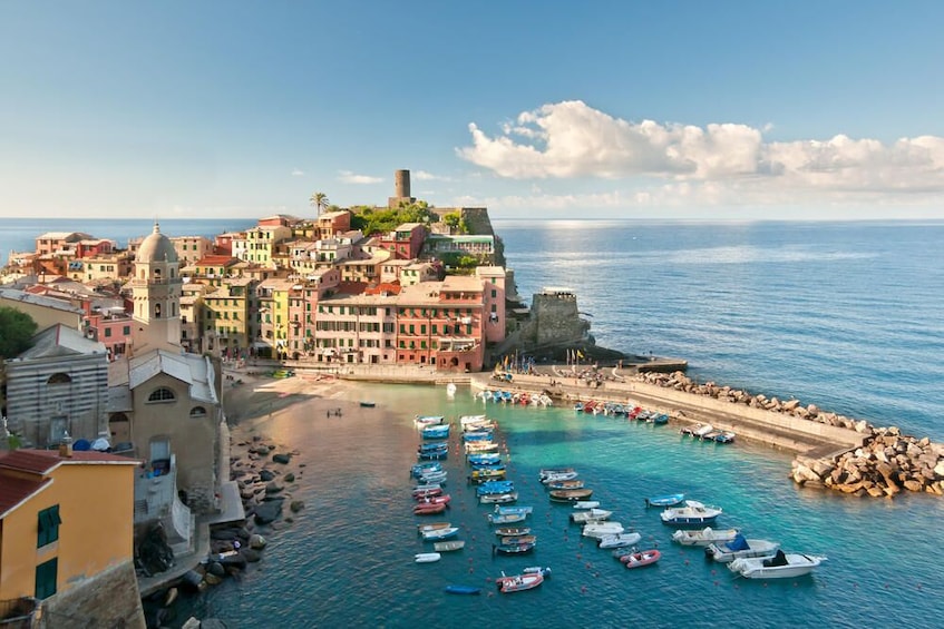 Cinque Terre Private Tour from Livorno port