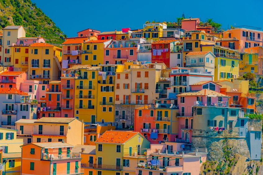 Cinque Terre Private Tour from Livorno port