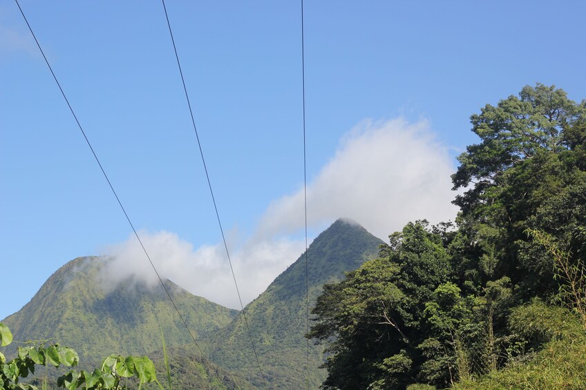 Show item 3 of 5. Nature and Culture In Beautiful Martinique