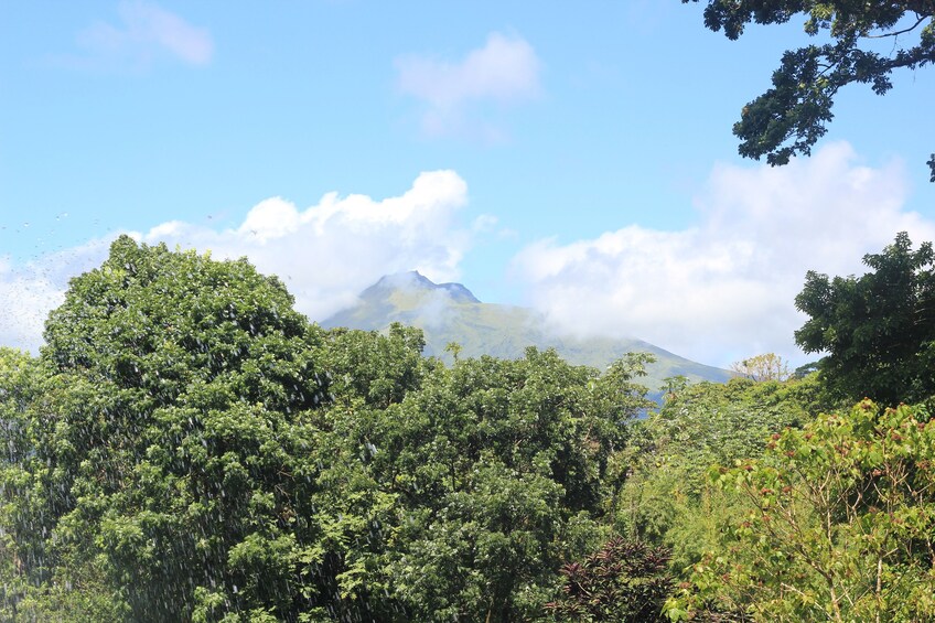 Show item 4 of 5. Nature and Culture In Beautiful Martinique