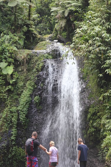 Show item 2 of 5. Nature and Culture In Beautiful Martinique
