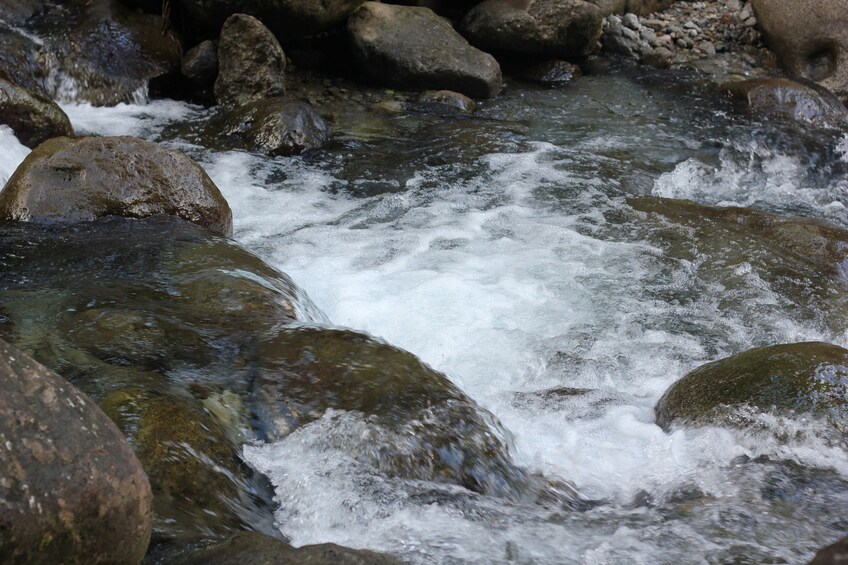 Show item 5 of 5. Nature and Culture In Beautiful Martinique